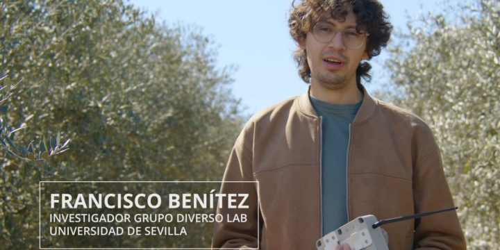 SensOlive In Action: A Behind-the-Scenes Look at the La Hampa Farm