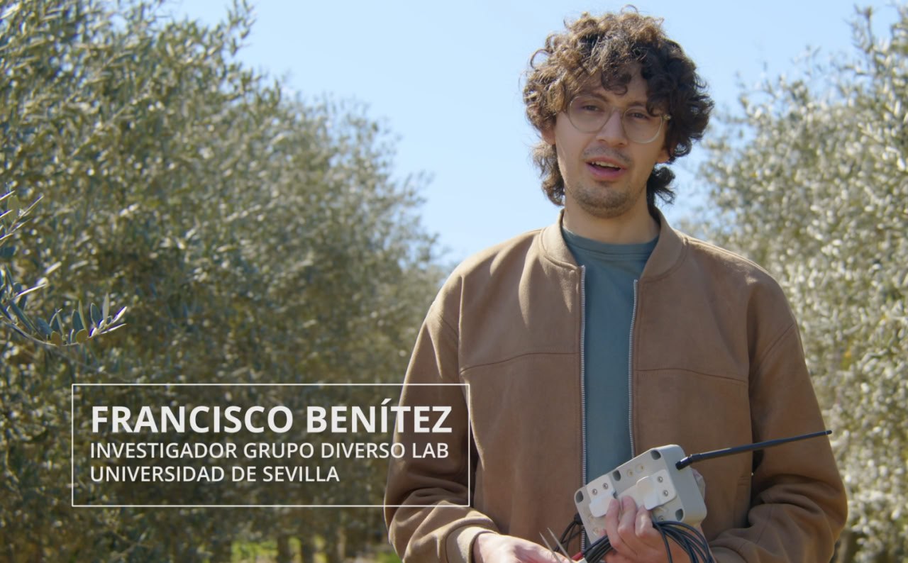 SensOlive In Action: A Behind-the-Scenes Look at the La Hampa Farm