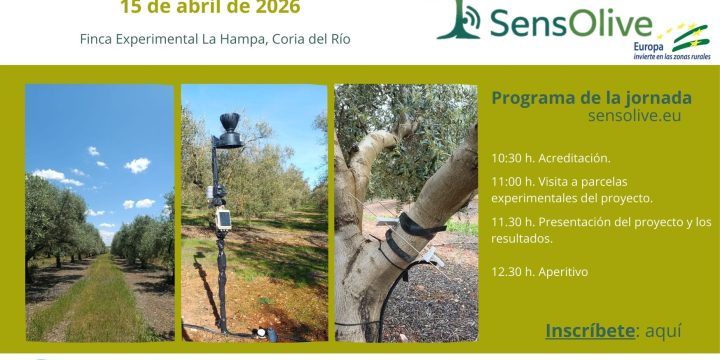 SensOlive to Present Breakthroughs in AI and Sensor Technology for Olive Grove Water Efficiency in Seville