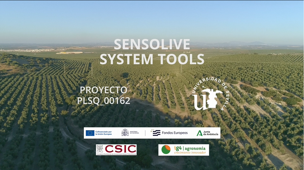 From Data to Irrigation: SensOlive’s Tools for Optimizing Deficit Irrigation